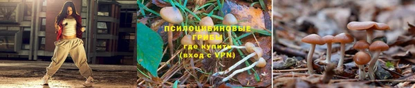 тгк Балахна