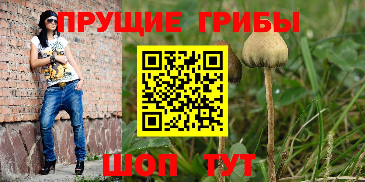Псилоцибиновые грибы прущие грибы Бугульма
