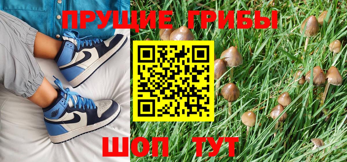 Псилоцибиновые грибы ЛСД  Вход с VPN  Галлюциногенные грибы Psilocybine cubensis  Бугульма 